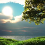 wallpaper-409237