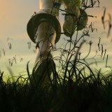 wallpaper-2827606