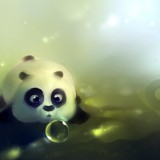 ap5QQD7