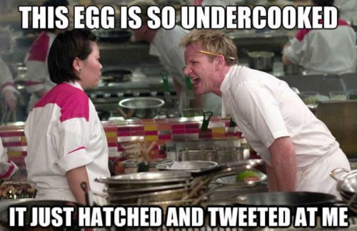 compressed_Gordon_Ramsay.jpg
