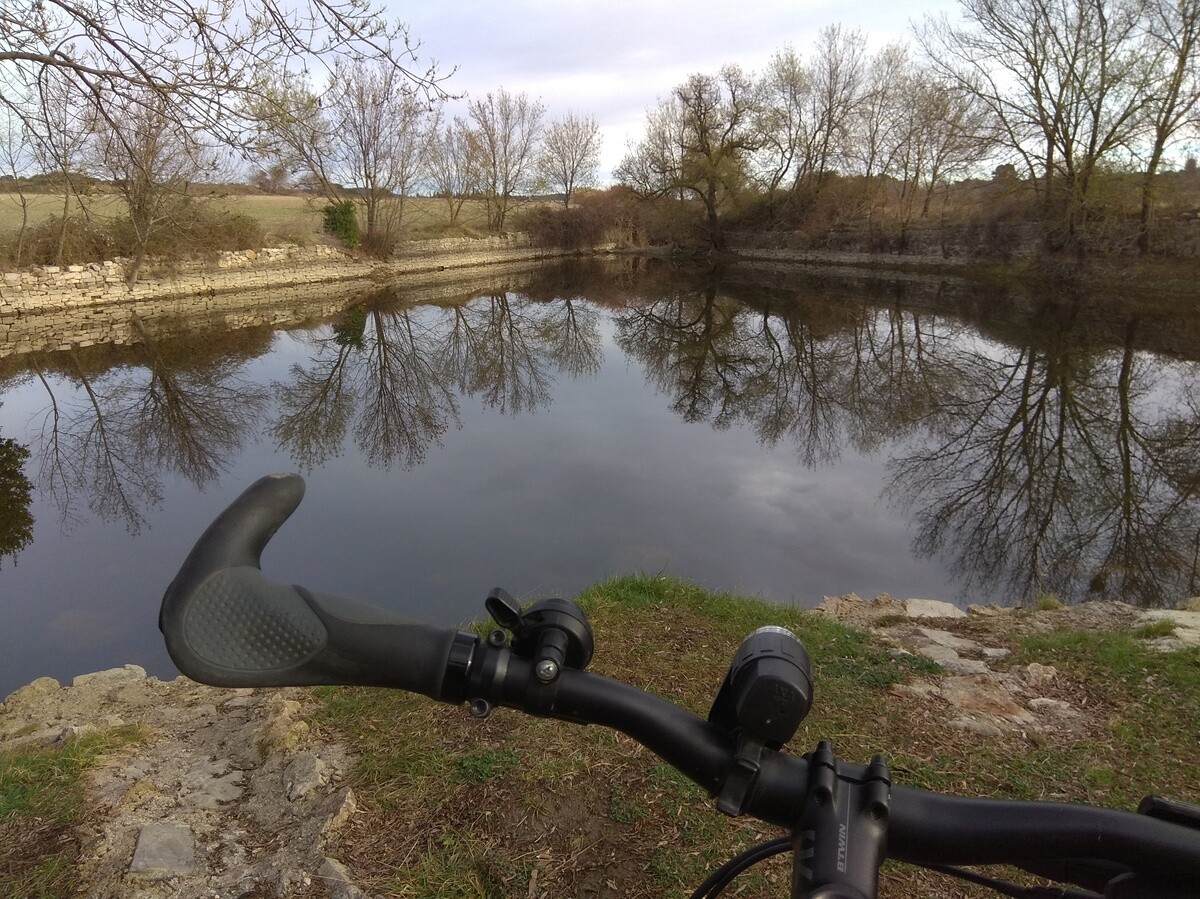 Un guidon de vélo au premier plan et un petit étang.