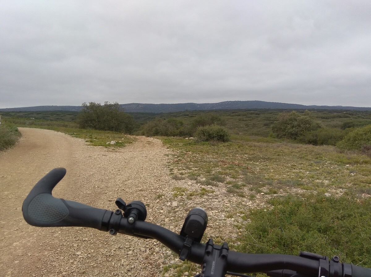 Un guidon de vélo devant une vaste plaine de garrigue. Au loin de petites montagnes. Ciel bien couvert.