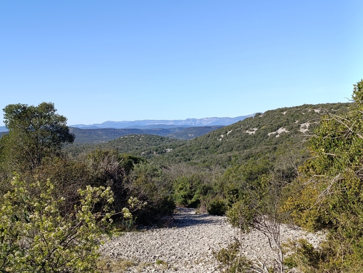 Photo des hauteurs d'un massif karstique avec une végétation proche de celle de la garrigue. Le paysage s'étend avec un relief de petites montagnes.