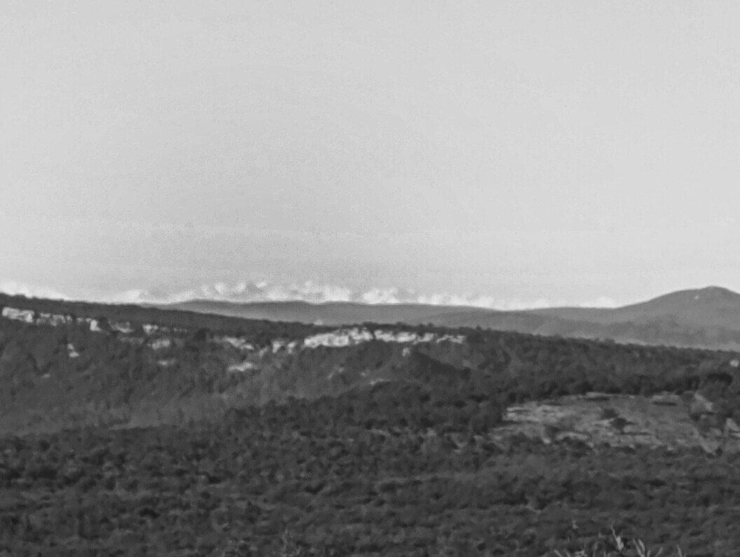 Photo noir et blanc et très flou suite à un recadrage. On perçoit des montagnes enneigées au loin dans le paysage.