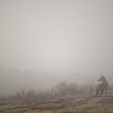 IMG_083268aa55d99283214a