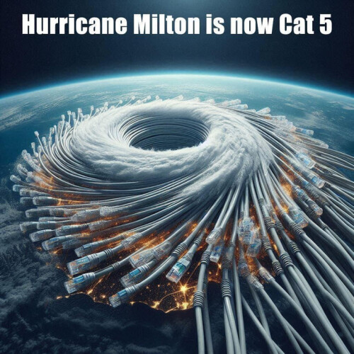 cat50141ac07a7b4a283.jpg